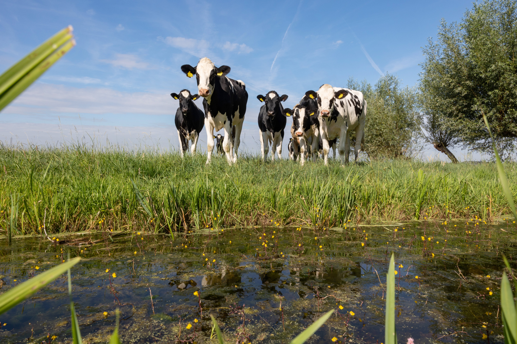 Provincie Zuid-Holland: Unieke samenwerking tussen overheden, onderwijsinstellingen en bedrijven