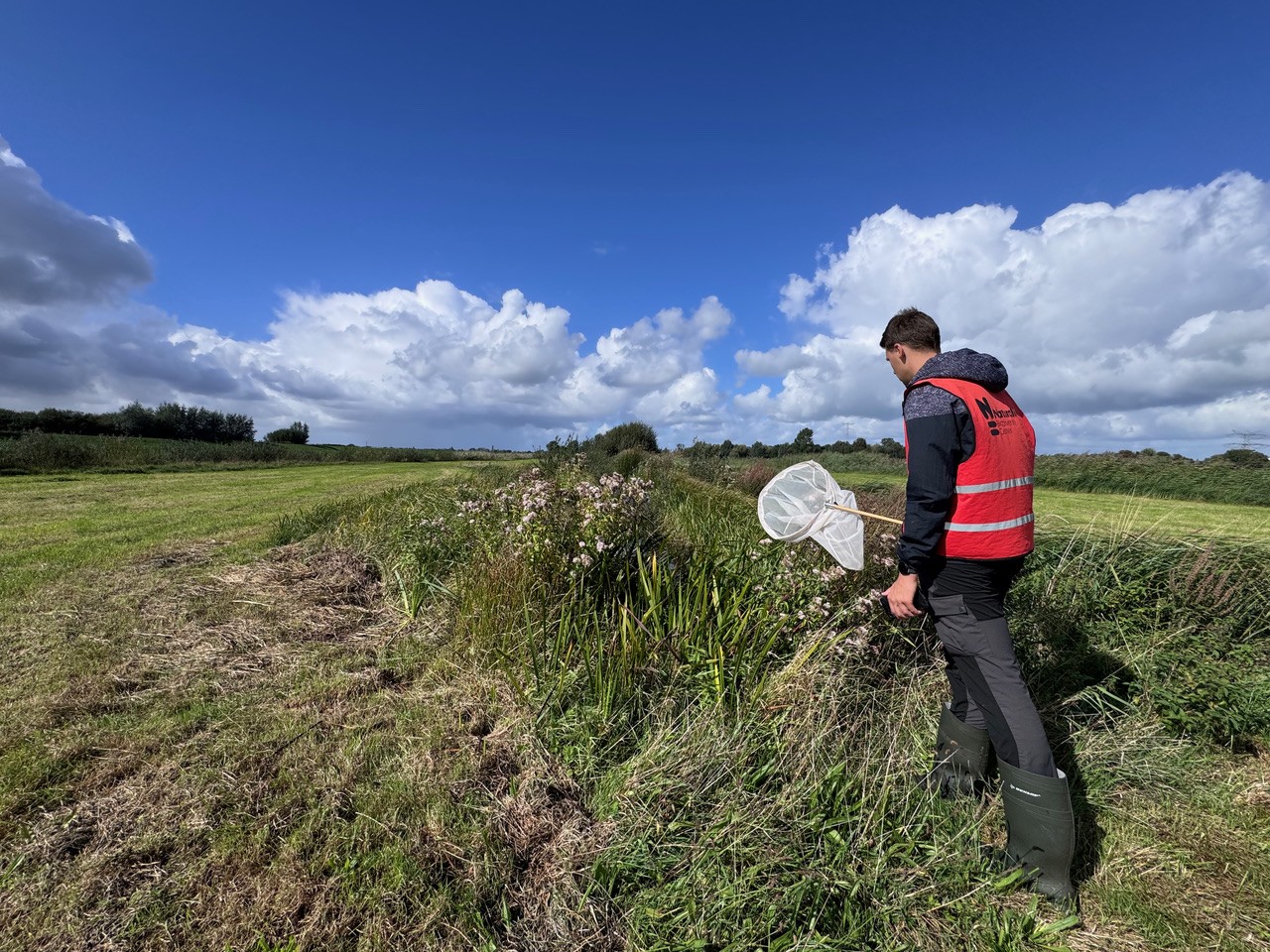 Laatste ronde voor monitoring GroenBlauwe dooradering